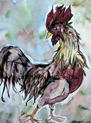 Kathryn Anderson Watercolor Rooster