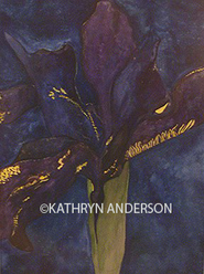 Kathryn Anderson Watercolor Iris