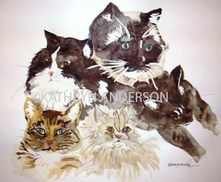 Kathryn Anderson Cat Watercolor