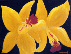 Kathryn Anderson Orchids Painting